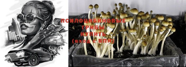 МДМА Арсеньев