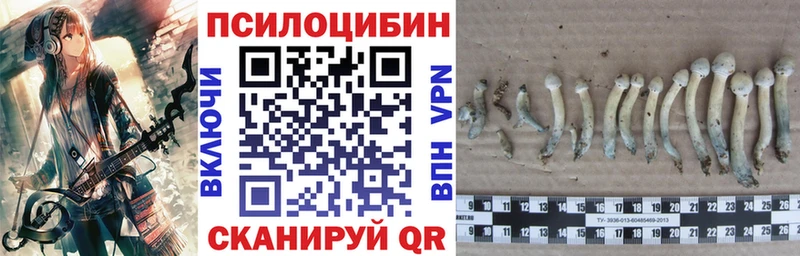 кракен   Артёмовский  Галлюциногенные грибы прущие грибы  где купить  